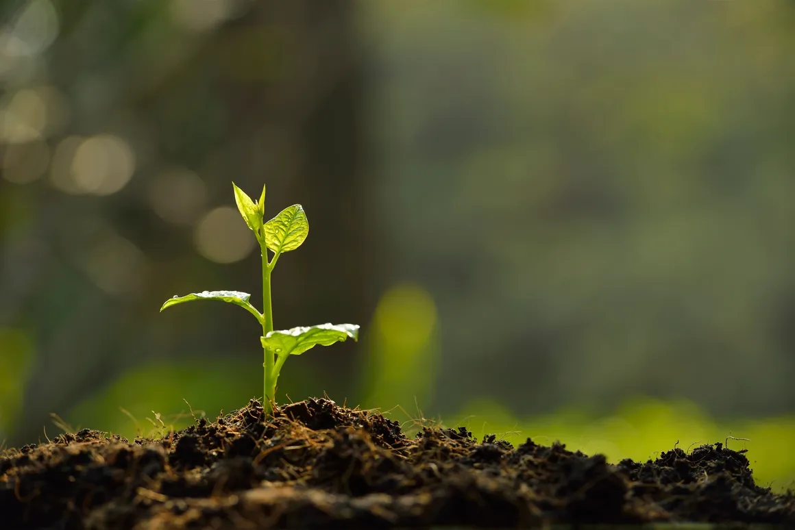 nuestro-impacto-co2-index-colombia